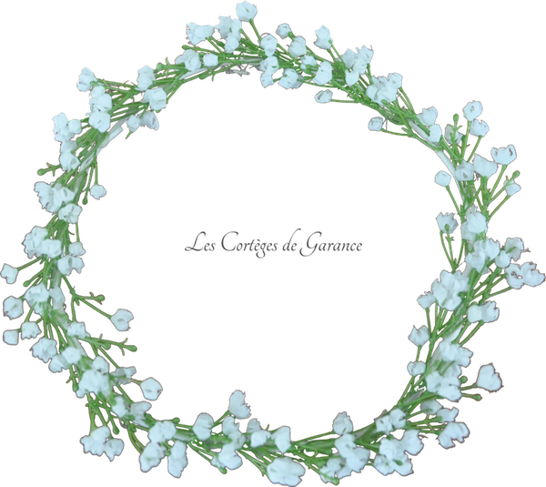 Gypsophile - copie