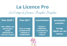 La Licence pro