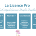 La Licence pro